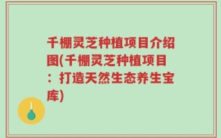 千棚灵芝种植项目介绍图(千棚灵芝种植项目：打造天然生态养生宝库)