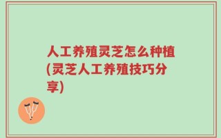 人工养殖灵芝怎么种植(灵芝人工养殖技巧分享)