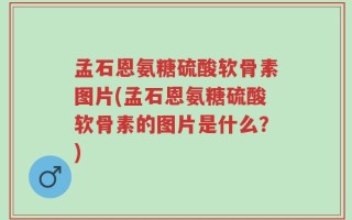 孟石恩氨糖硫酸软骨素图片(孟石恩氨糖硫酸软骨素的图片是什么？)