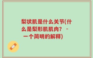 梨状肌是什么关节(什么是梨形肌肌肉？ - 一个简明的解释)