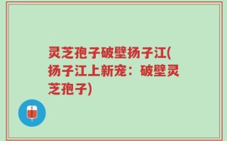 灵芝孢子破壁扬子江(扬子江上新宠：破壁灵芝孢子)