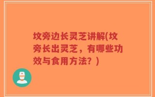 坟旁边长灵芝讲解(坟旁长出灵芝，有哪些功效与食用方法？)