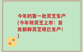 今年的第一批灵芝生产(今年初灵芝上市：首批新鲜灵芝现已生产！)