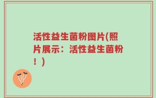 活性益生菌粉图片(照片展示：活性益生菌粉！)