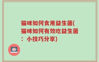 猫咪如何食用益生菌(猫咪如何有效吃益生菌：小技巧分享)
