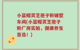 小蓝帽灵芝孢子粉破壁车间(小蓝帽灵芝孢子粉厂房实拍，健康养生首选！)