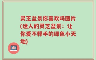 灵芝盆景你喜欢吗图片(迷人的灵芝盆景：让你爱不释手的绿色小天地)