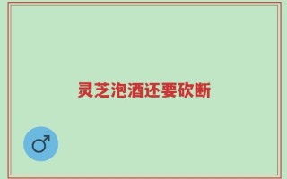 灵芝泡酒还要砍断