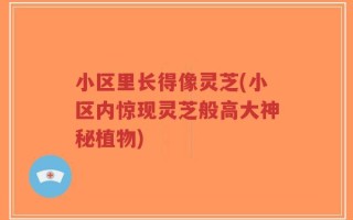 小区里长得像灵芝(小区内惊现灵芝般高大神秘植物)