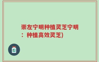 崇左宁明种植灵芝宁明：种植高效灵芝)