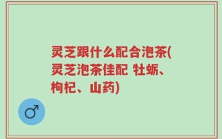 灵芝跟什么配合泡茶(灵芝泡茶佳配 牡蛎、枸杞、山药)