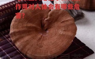 吃破壁灵芝孢子粉的副作用对人体会有哪些危害？