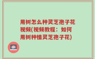 用树怎么种灵芝孢子花视频(视频教程：如何用树种植灵芝孢子花)