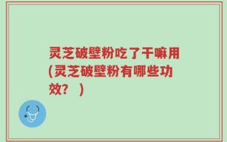 灵芝破壁粉吃了干嘛用(灵芝破壁粉有哪些功效？ )