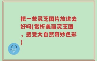 把一些灵芝图片放进去好吗(赏析美丽灵芝图，感受大自然奇妙色彩)