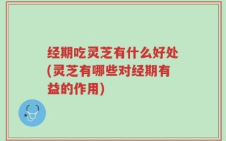 经期吃灵芝有什么好处(灵芝有哪些对经期有益的作用)
