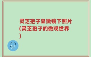 灵芝孢子显微镜下照片(灵芝孢子的微观世界)