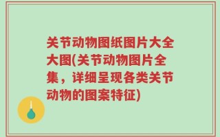关节动物图纸图片大全大图(关节动物图片全集，详细呈现各类关节动物的图案特征)