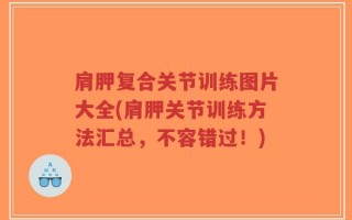 肩胛复合关节训练图片大全(肩胛关节训练方法汇总，不容错过！)
