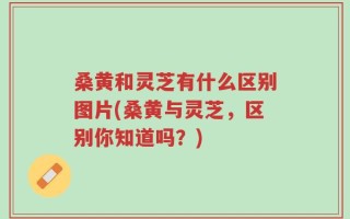 桑黄和灵芝有什么区别图片(桑黄与灵芝，区别你知道吗？)