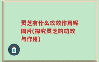 灵芝有什么攻效作用呢图片(探究灵芝的功效与作用)