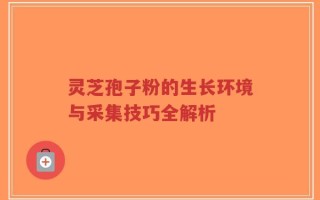 灵芝孢子粉的生长环境与采集技巧全解析