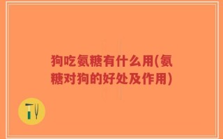 狗吃氨糖有什么用(氨糖对狗的好处及作用)