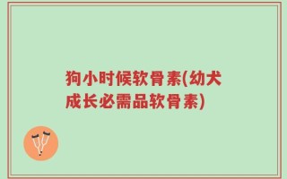 狗小时候软骨素(幼犬成长必需品软骨素)