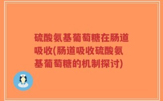 硫酸氨基葡萄糖在肠道吸收(肠道吸收硫酸氨基葡萄糖的机制探讨)