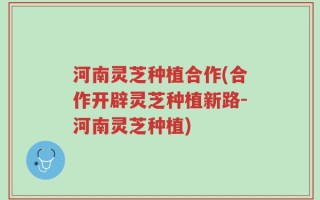 河南灵芝种植合作(合作开辟灵芝种植新路-河南灵芝种植)