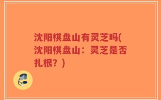 沈阳棋盘山有灵芝吗(沈阳棋盘山：灵芝是否扎根？)