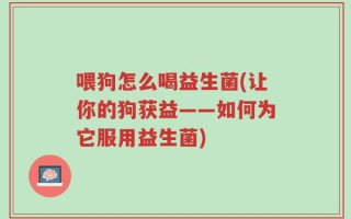 喂狗怎么喝益生菌(让你的狗获益——如何为它服用益生菌)