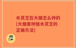 木灵芝在大棚怎么种的(大棚里种植木灵芝的正确方法)