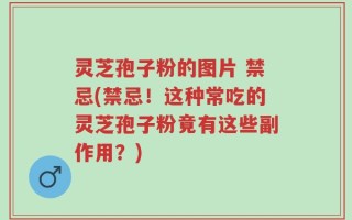 灵芝孢子粉的图片 禁忌(禁忌！这种常吃的灵芝孢子粉竟有这些副作用？)