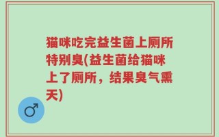 猫咪吃完益生菌上厕所特别臭(益生菌给猫咪上了厕所，结果臭气熏天)
