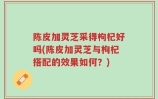 陈皮加灵芝采得枸杞好吗(陈皮加灵芝与枸杞搭配的效果如何？)