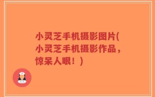 小灵芝手机摄影图片(小灵芝手机摄影作品，惊呆人眼！)
