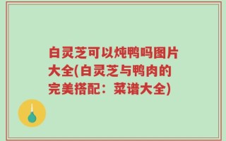 白灵芝可以炖鸭吗图片大全(白灵芝与鸭肉的完美搭配：菜谱大全)
