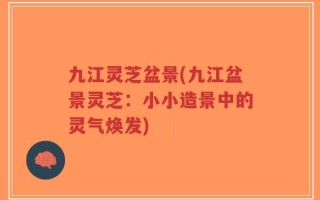 九江灵芝盆景(九江盆景灵芝：小小造景中的灵气焕发)