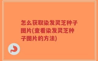 怎么获取染发灵芝种子图片(查看染发灵芝种子图片的方法)