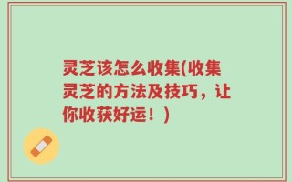 灵芝该怎么收集(收集灵芝的方法及技巧，让你收获好运！)