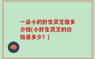 一朵小的野生灵芝值多少钱(小野生灵芝的价格是多少？)