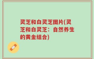灵芝和白灵芝图片(灵芝和白灵芝：自然养生的黄金组合)