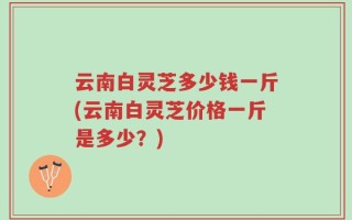 云南白灵芝多少钱一斤(云南白灵芝价格一斤是多少？)