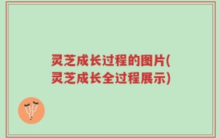 灵芝成长过程的图片(灵芝成长全过程展示)