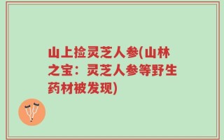 山上捡灵芝人参(山林之宝：灵芝人参等野生药材被发现)