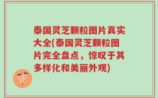 泰国灵芝颗粒图片真实大全(泰国灵芝颗粒图片完全盘点，惊叹于其多样化和美丽外观)