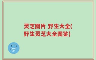 灵芝图片 野生大全(野生灵芝大全图鉴)
