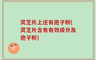 灵芝片上还有孢子粉(灵芝片含有有效成分及孢子粉)