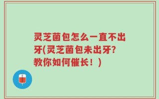 灵芝菌包怎么一直不出牙(灵芝菌包未出牙？教你如何催长！)